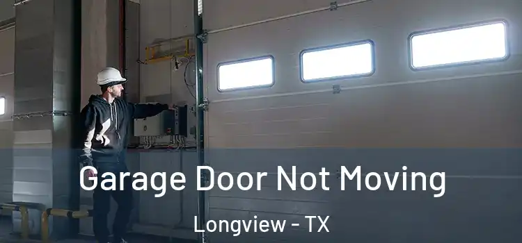  Garage Door Not Moving Longview - TX